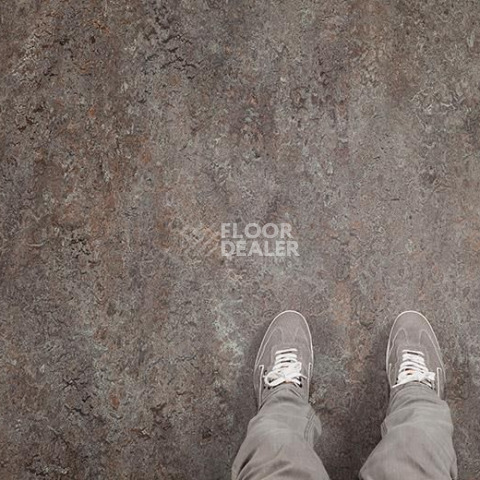 Forbo Marmoleum Decibel on Order 342135 oyster mountain фото 2 | FLOORDEALER